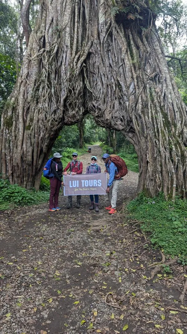 Mount Kilimanjaro trekking landscape